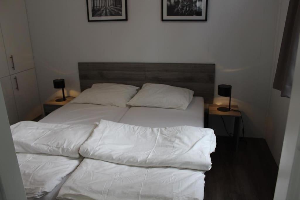 Vakantiehuis Met Vijverzicht Lathum Ngoại thất bức ảnh